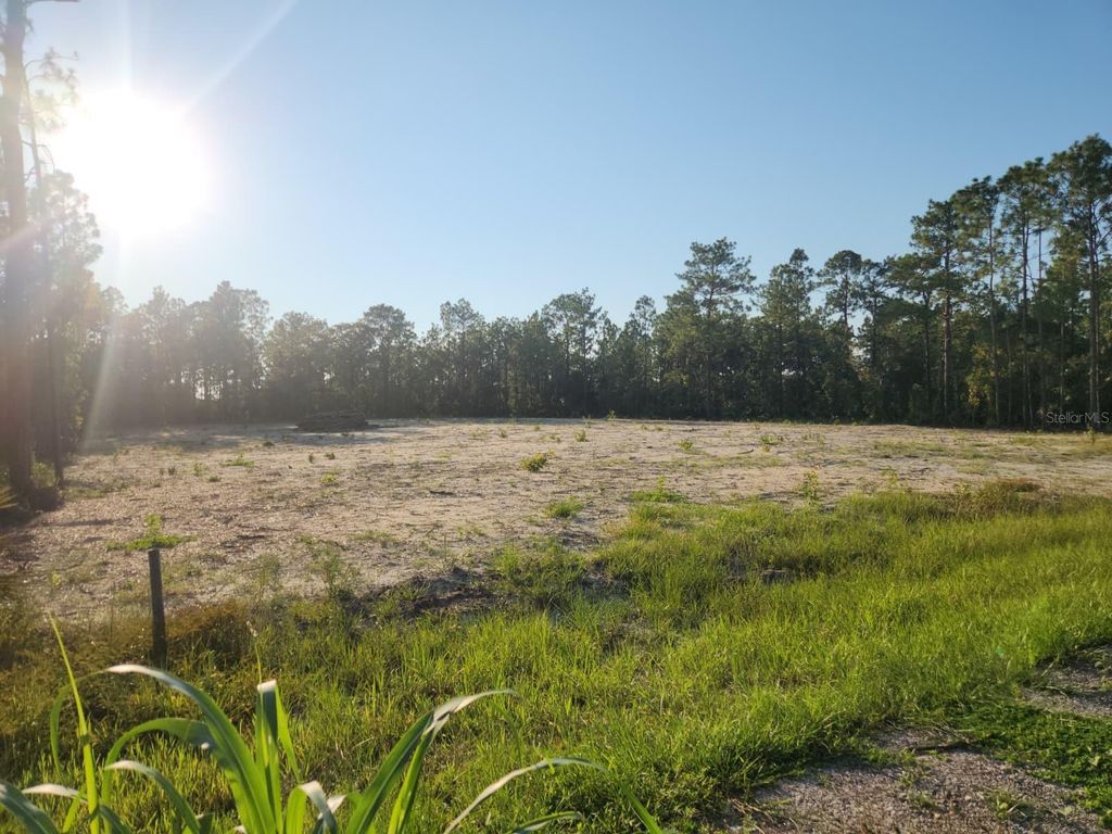 Photo of 135th Avenue, Ocala, FL 34481 (MLS # P4936642)