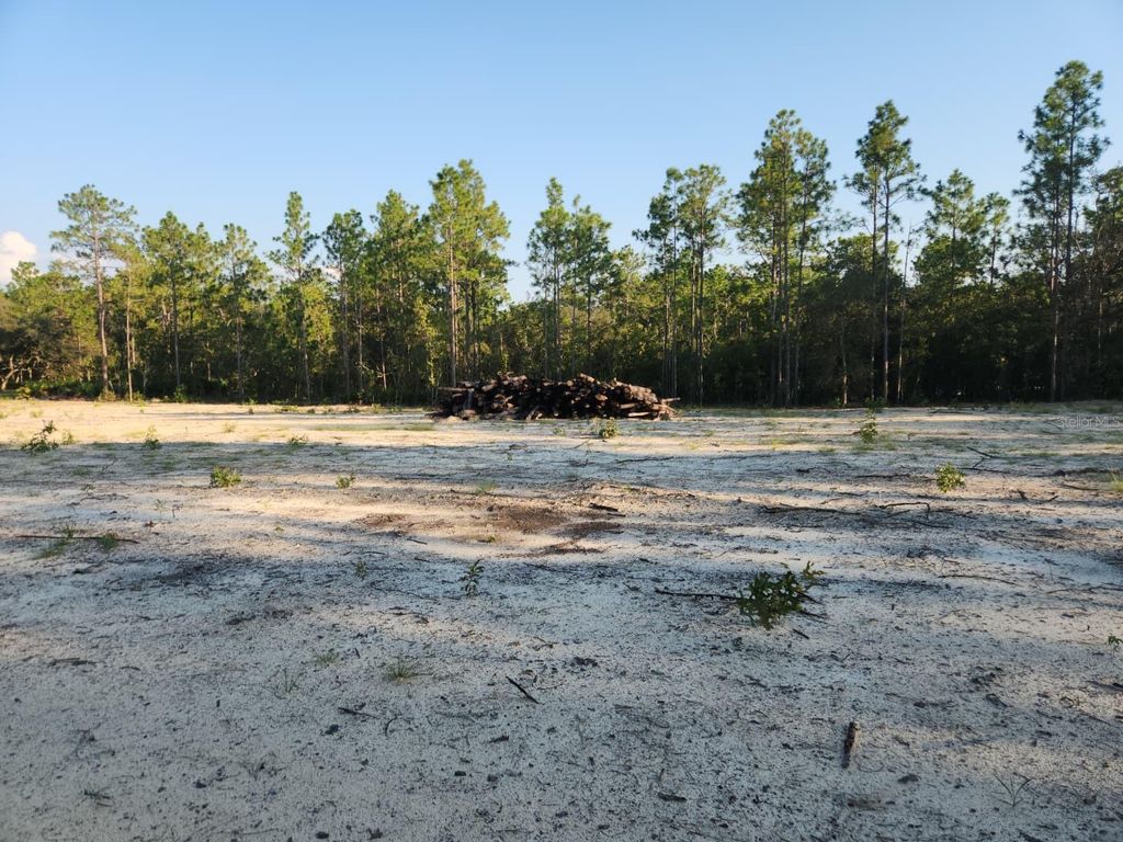 Photo of 135th Avenue, Ocala, FL 34481 (MLS # P4936642)