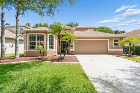 Photo of 15907 Pond Rush Court, Land O Lakes, FL 34638 (MLS # TB8511103)
