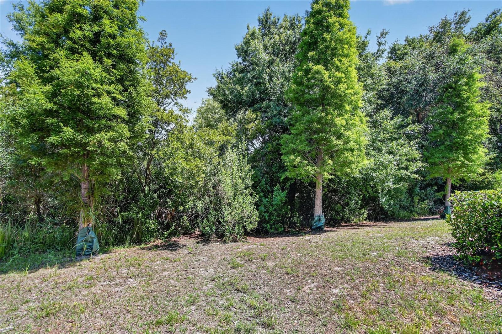 OSPREY LAKES - Residential