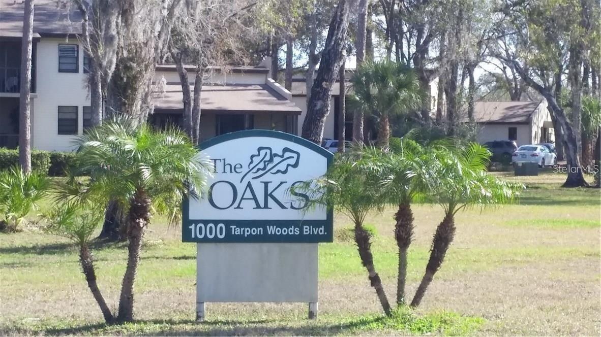 1000 TARPON WOODS BOULEVARD 804