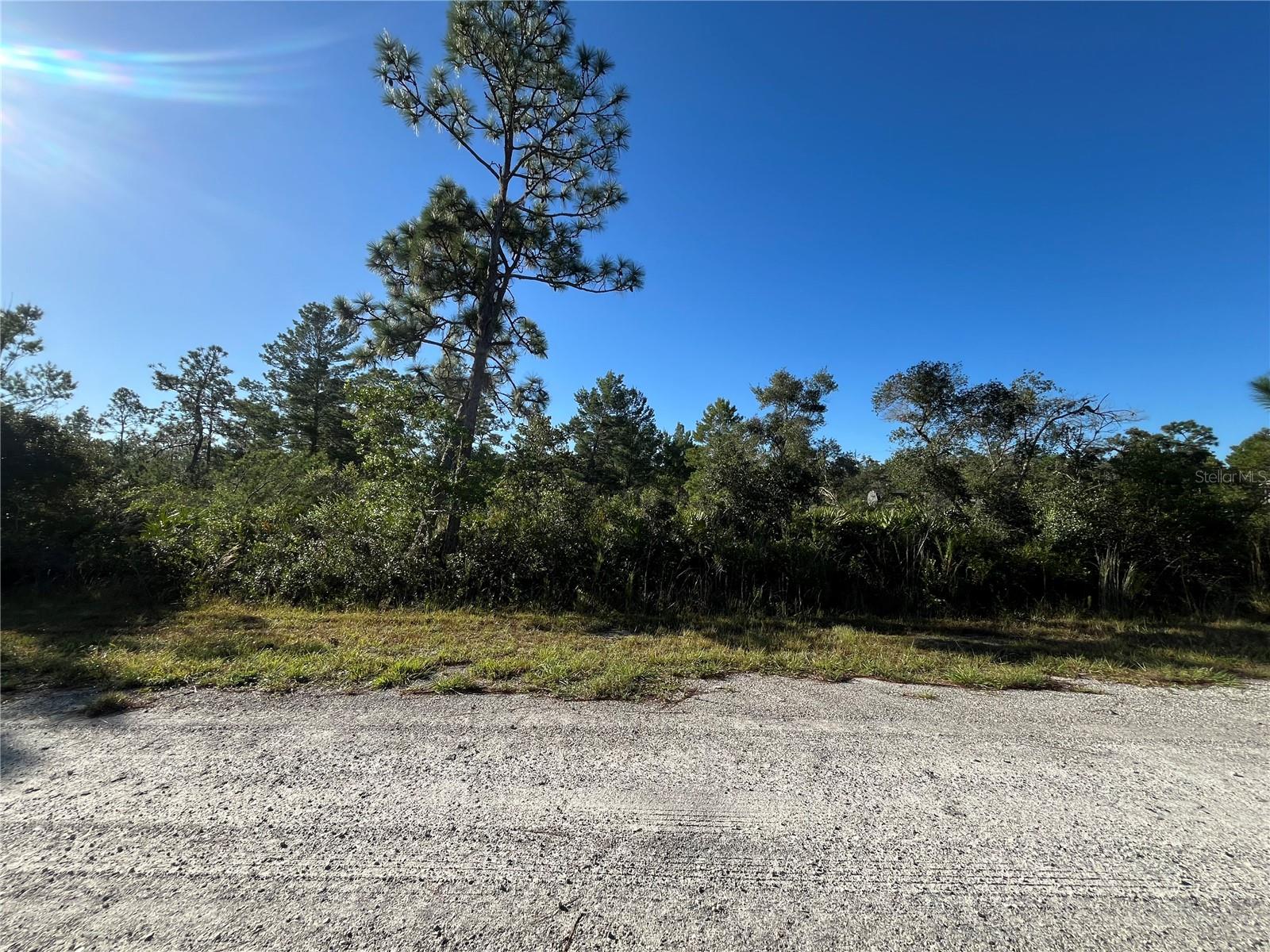 INDIAN LAKE ESTATES - Land