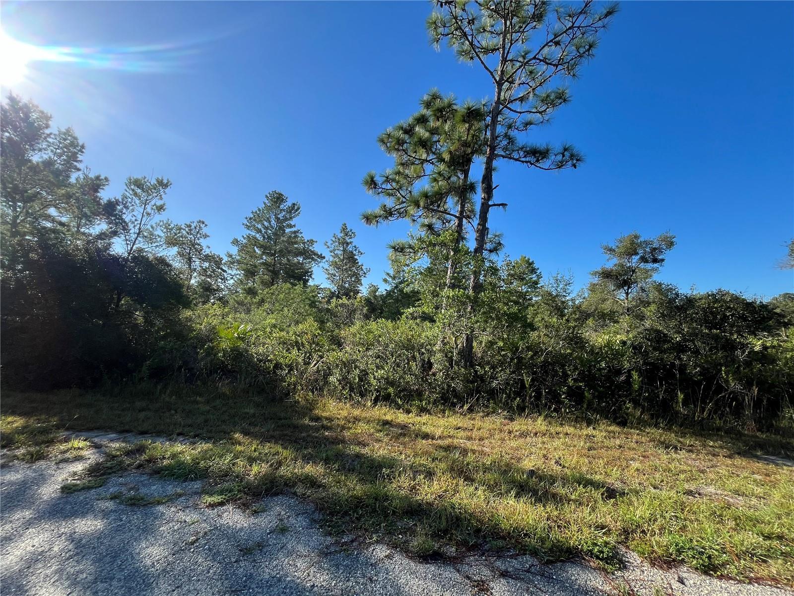 INDIAN LAKE ESTATES - Land