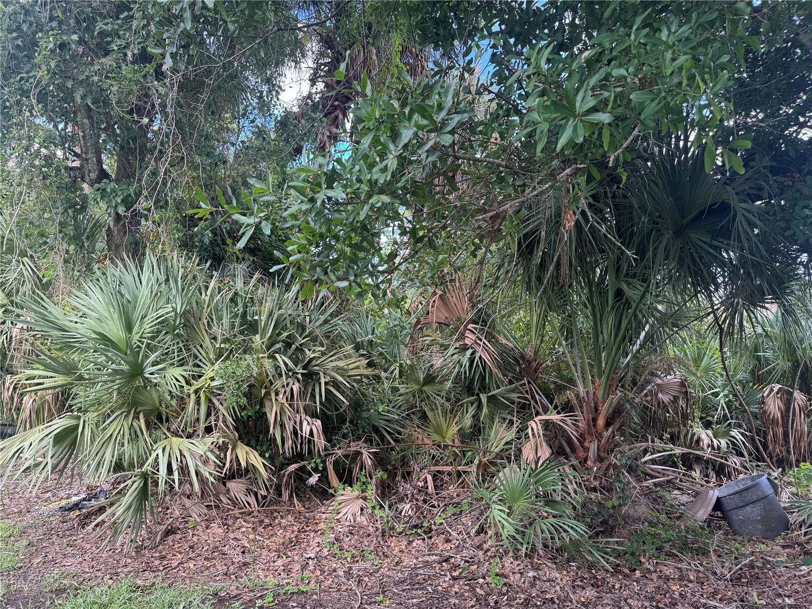 COUNTRYSUDE PUD UNIT 12A - Land