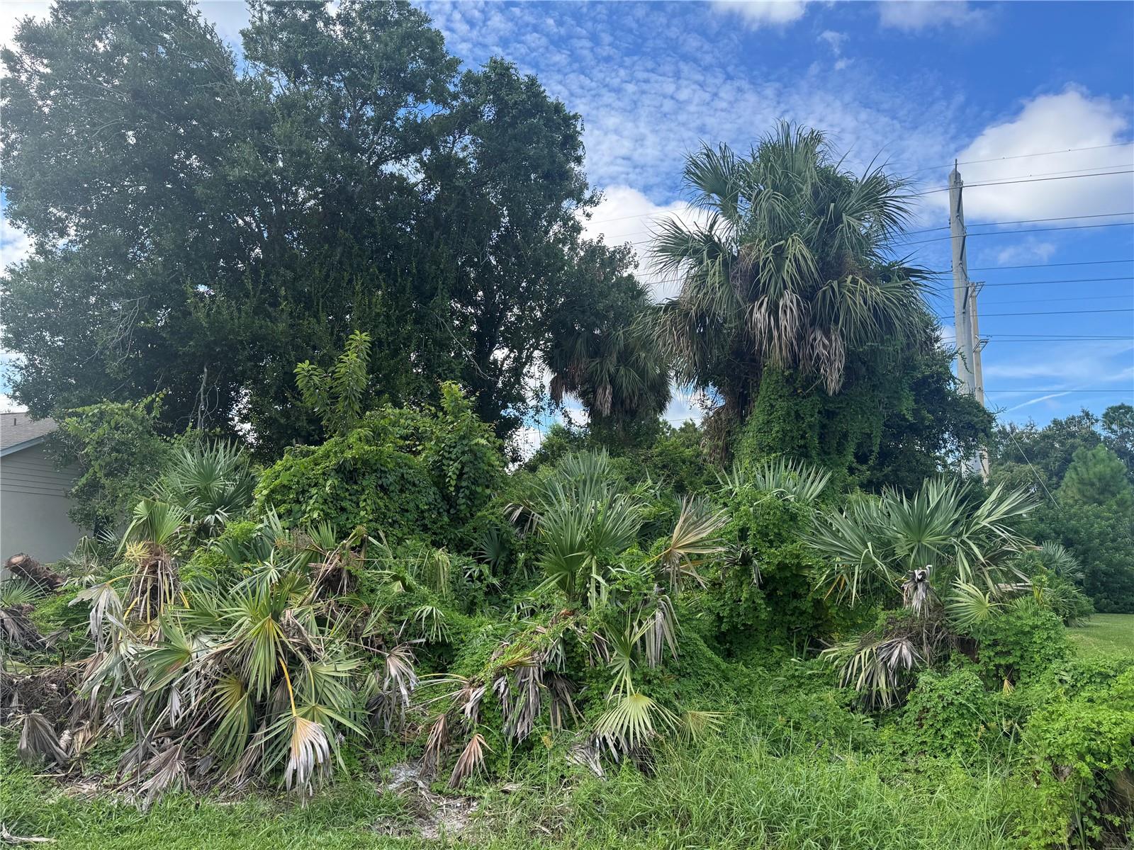 COUNTRYSUDE PUD UNIT 12A - Land