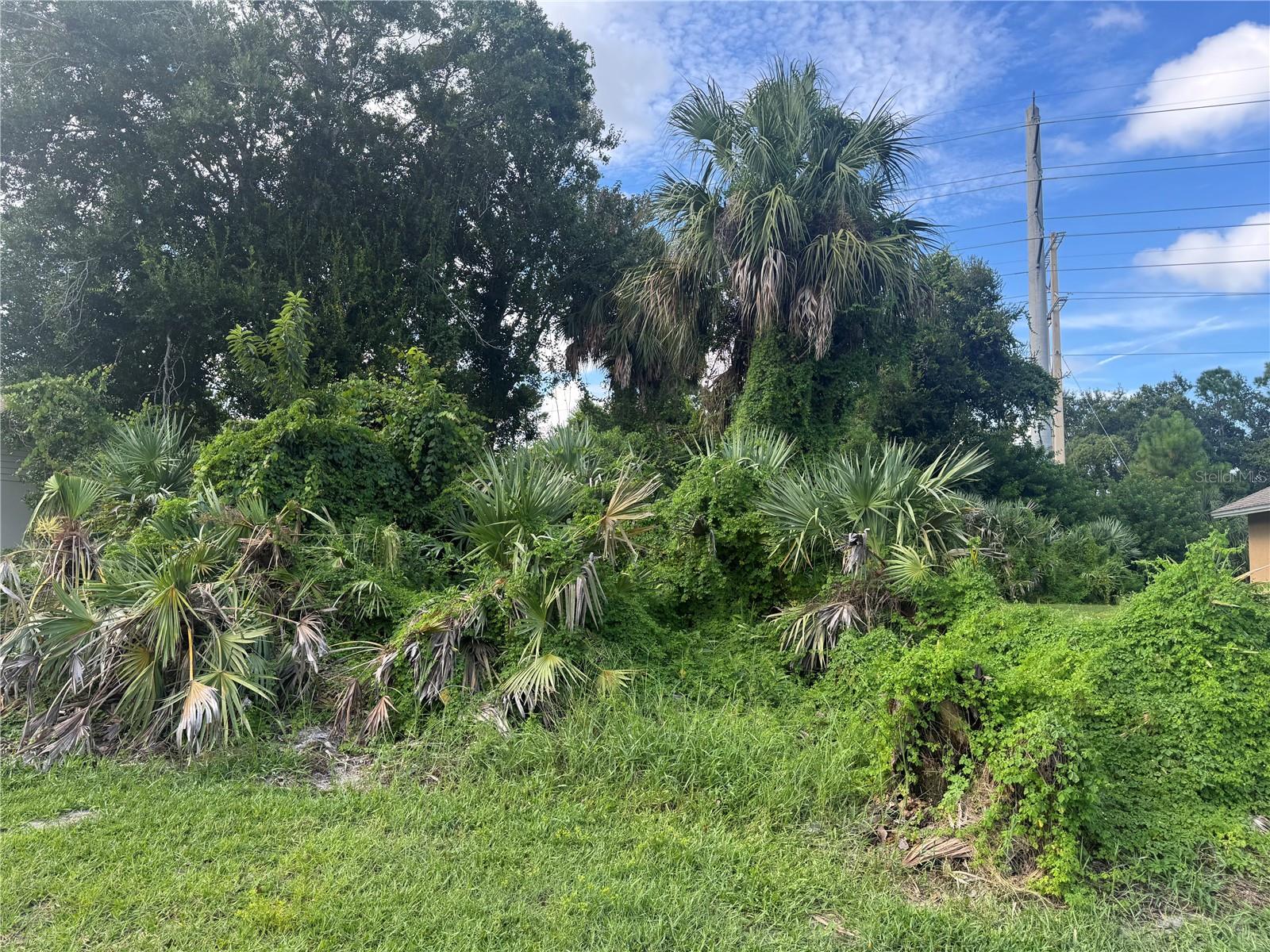 COUNTRYSUDE PUD UNIT 12A - Land