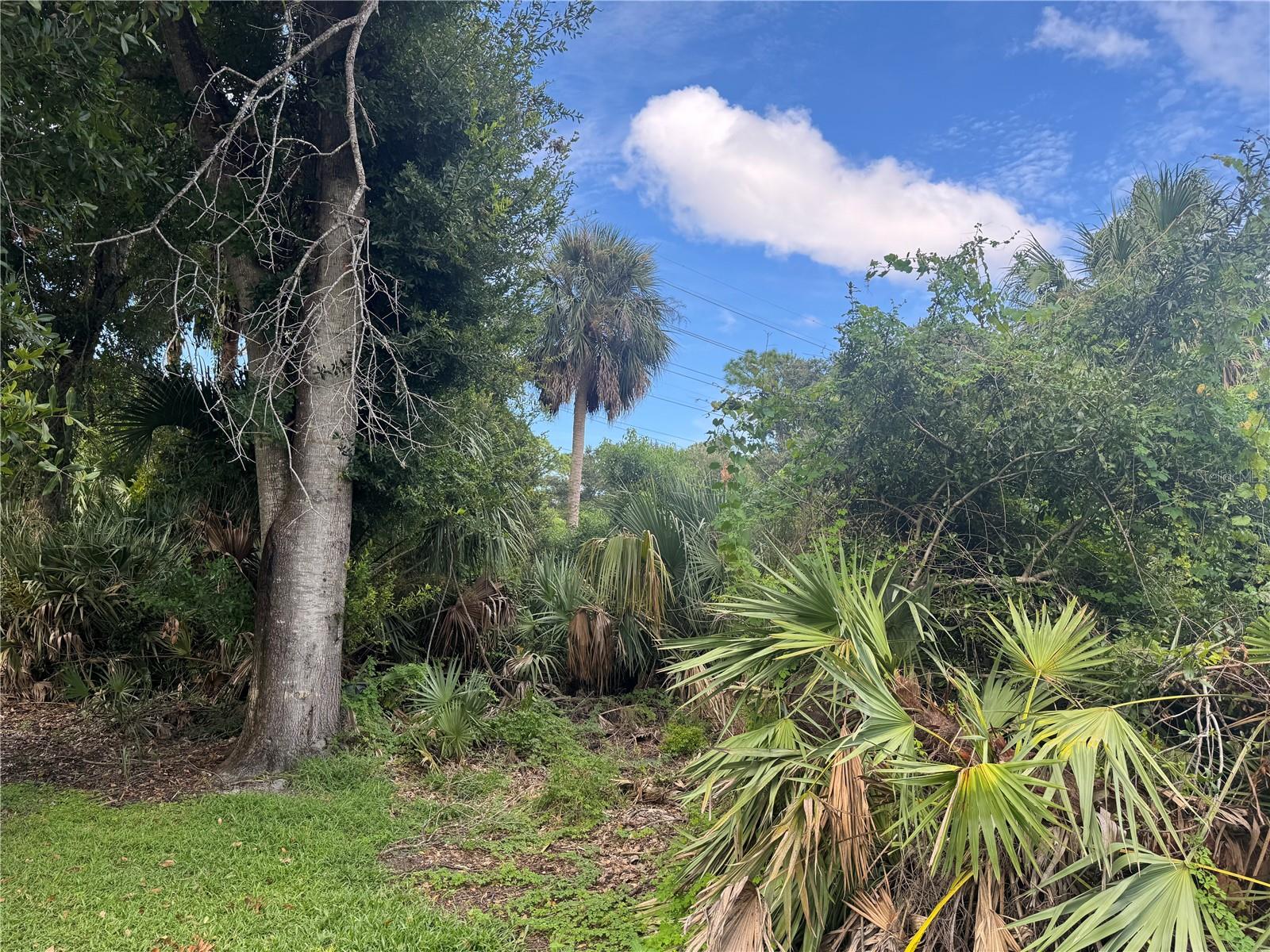 COUNTRYSUDE PUD UNIT 12A - Land