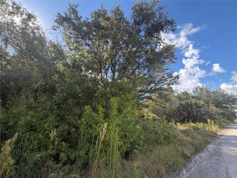 Photo of Swiss Boulevard, Punta Gorda, FL 33982 (MLS # A4705187)