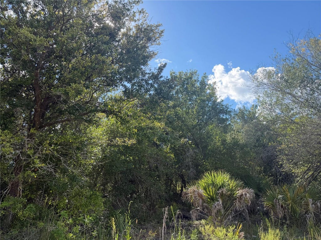 Photo of Swiss Boulevard, Punta Gorda, FL 33982 (MLS # A4705187)