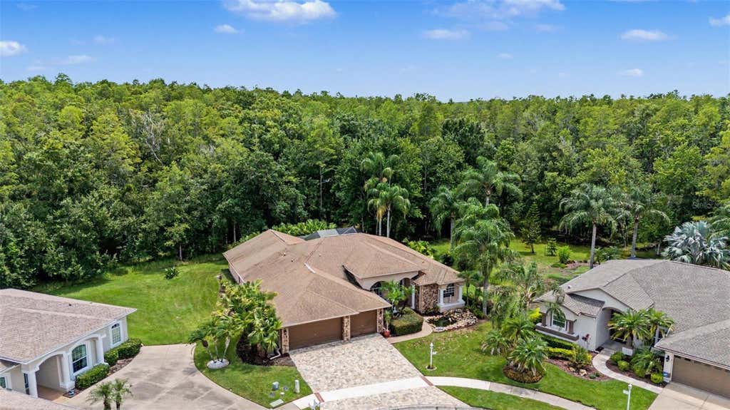 Photo of 12146 Walstone Court, Trinity, FL 34655 (MLS # W7888260)