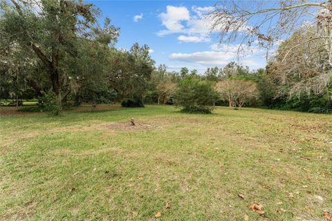 A home in MOUNT DORA