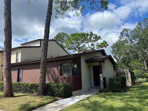 A home in PALM HARBOR