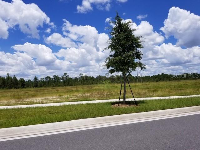 Photo 6 of 7 of S APOPKA VINELAND ROAD land