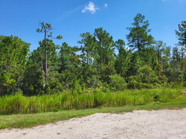 Photo 7 of 7 of S APOPKA VINELAND ROAD land