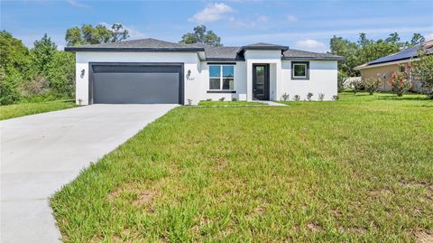 Photo of 2437 SW 147th Lane, Ocala, FL 34473 (MLS # S5125212)