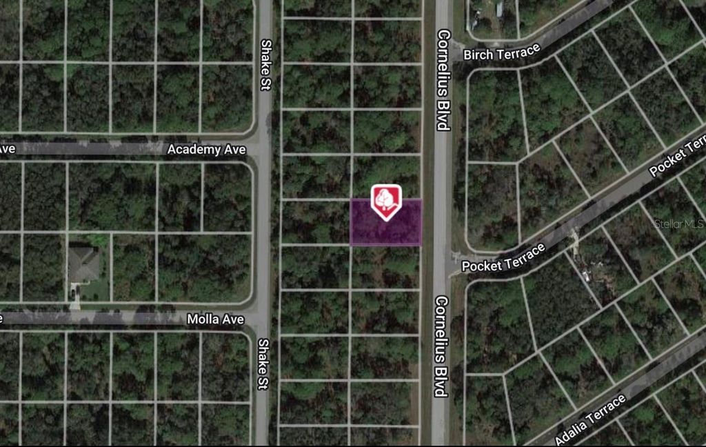 Photo of 1323 Cornelius Boulevard, Port Charlotte, FL 33953 (MLS # C7493587)
