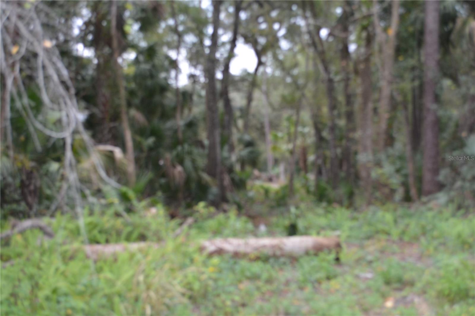 EUREKA HAMMOCK - Land