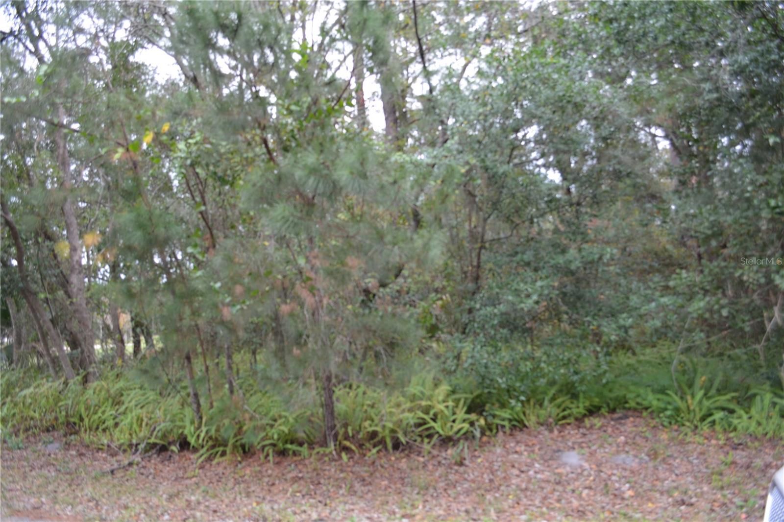 EUREKA HAMMOCK - Land