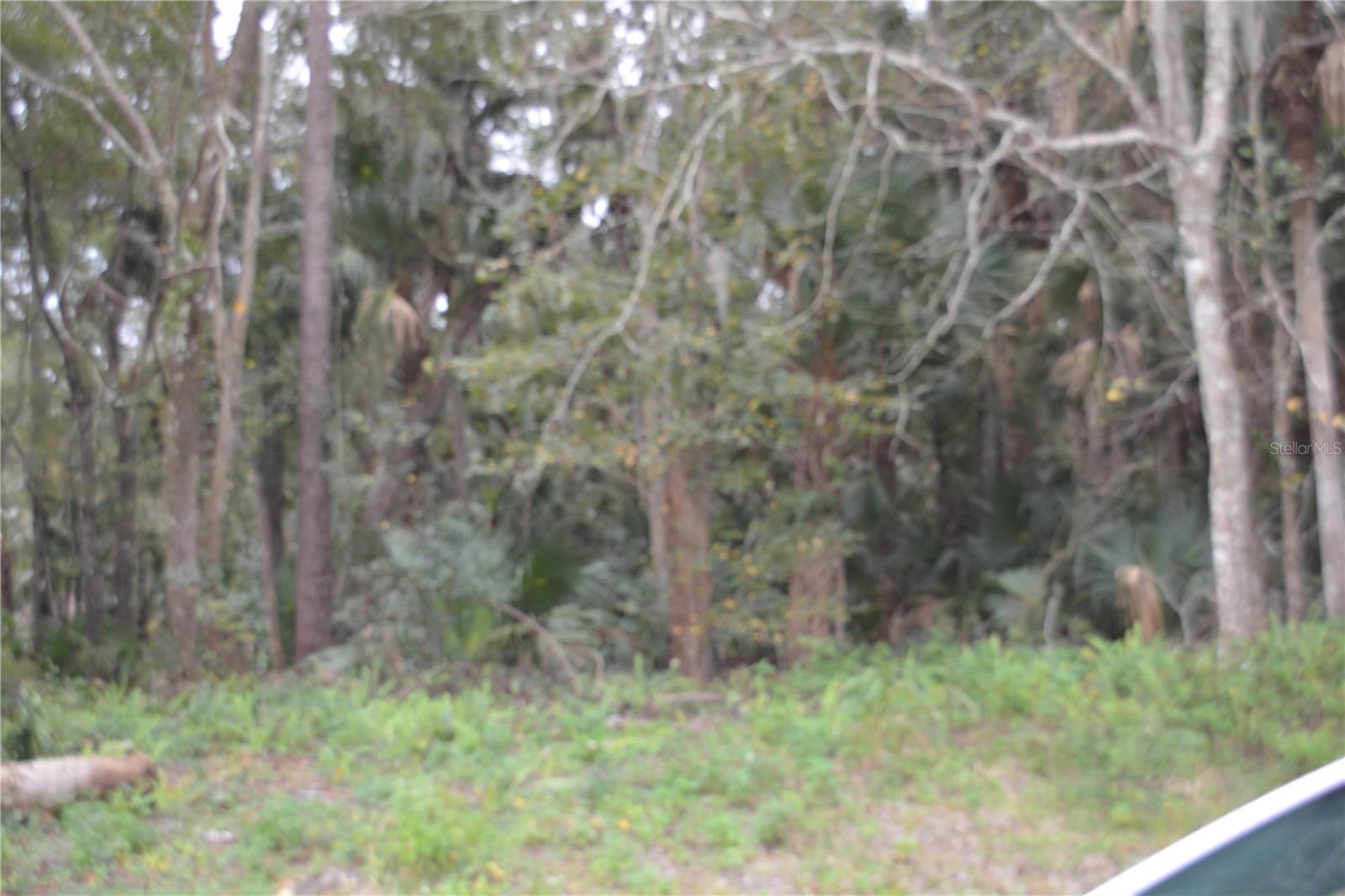 EUREKA HAMMOCK - Land