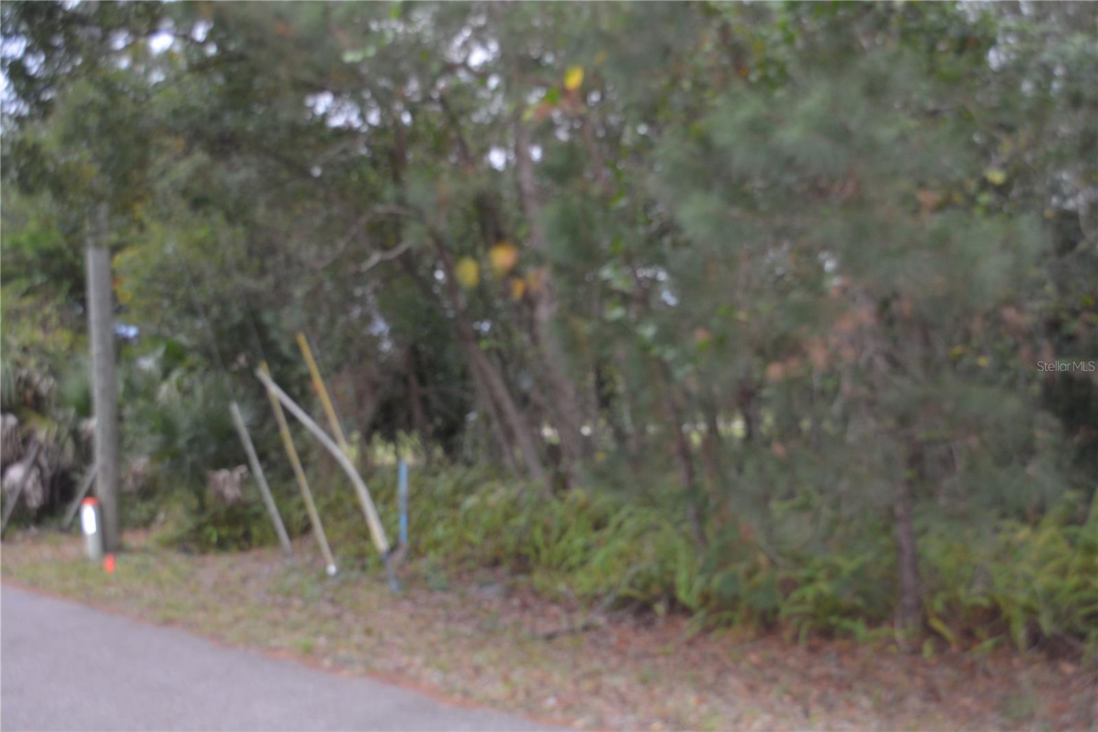 EUREKA HAMMOCK - Land