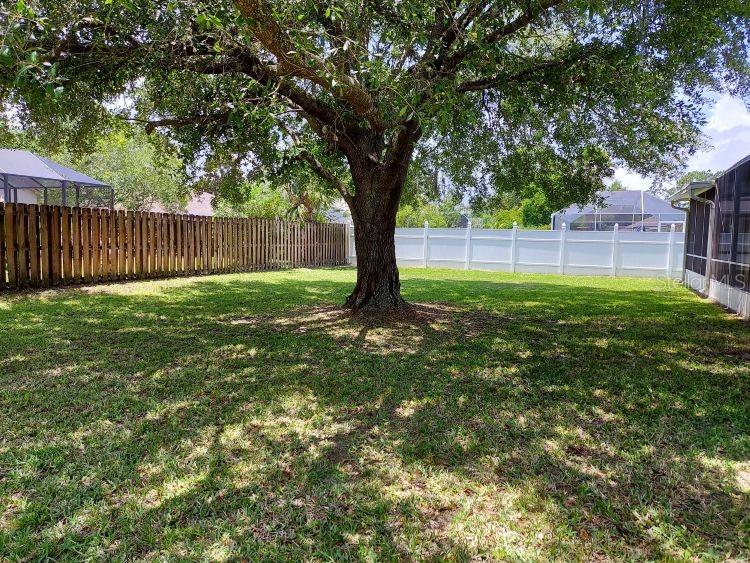 PALM COAST SEC 19 - Residential