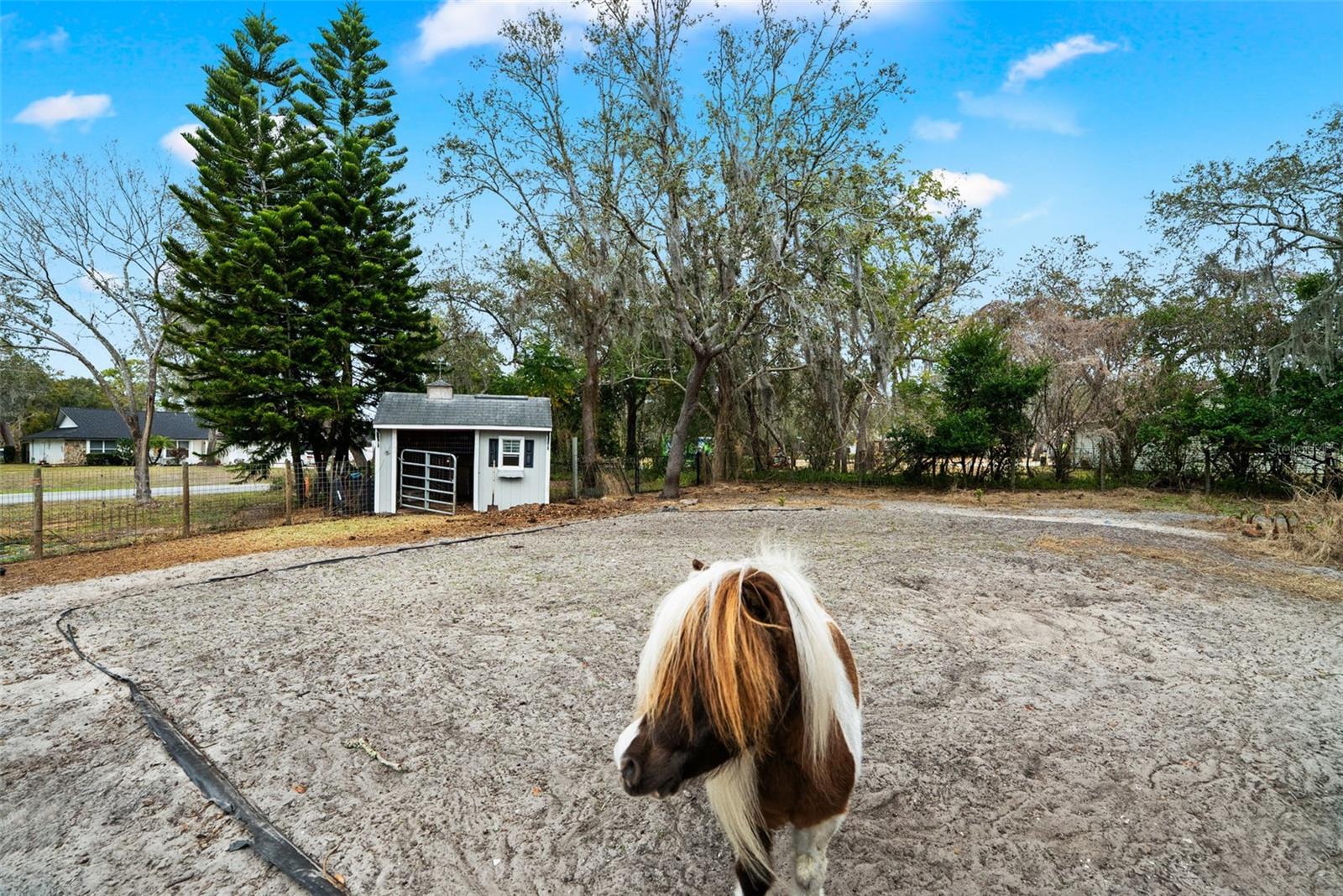 OAK RIDGE - Residential