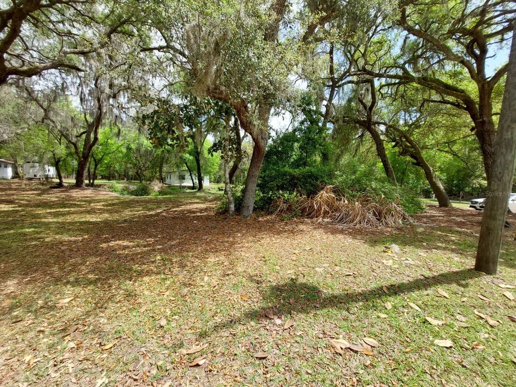 Photo of 18625 NE 238th Terrace, Fort Mccoy, FL 32134 (MLS # V4948407)