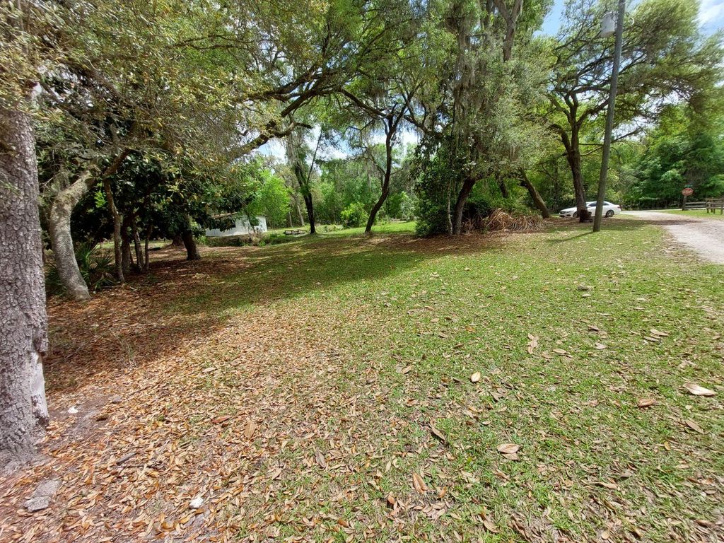 Photo of 18625 NE 238th Terrace, Fort Mccoy, FL 32134 (MLS # V4948407)