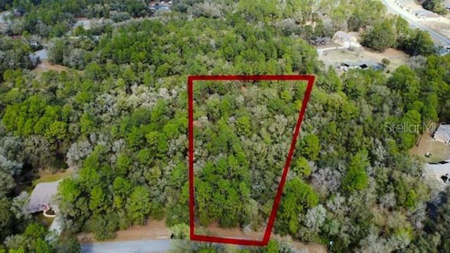 This 1.25 Acre wooded lot is located in the highly desired Forest community in Rainbow Springs and features deeded access to the very popular RAINBOW RIVER, a great place to relax and cool off on those hot summer days! The area is well-known for Kayaking, Canoeing, tubing and snorkeling in the cool, crystal clear water. Besides the river access, there are a multitude of Community amenities to enjoy for only a low HOA fee of $250 per year.  The clubhouse offers a swimming pool, fitness center, pickleball, tennis and basketball courts, bocce ball and a driving range. There is also a Restaurant for those days you just don’t feel like cooking!  Nearby walking, bird watching and biking trails, equestrian trails and golf courses are great options of how to spend your time. One of the best things about living in Rainbow Springs is the private resident park with two pavilions, BBQ grills, Kayak or Canoe launch and swimming area. There are also bathrooms and an outdoor shower available for resident’s use as well.  The charming City of Dunnellon is a great place to stroll through the local shops, antique stores and restaurants and discover the history of the town that dates back to 1890.