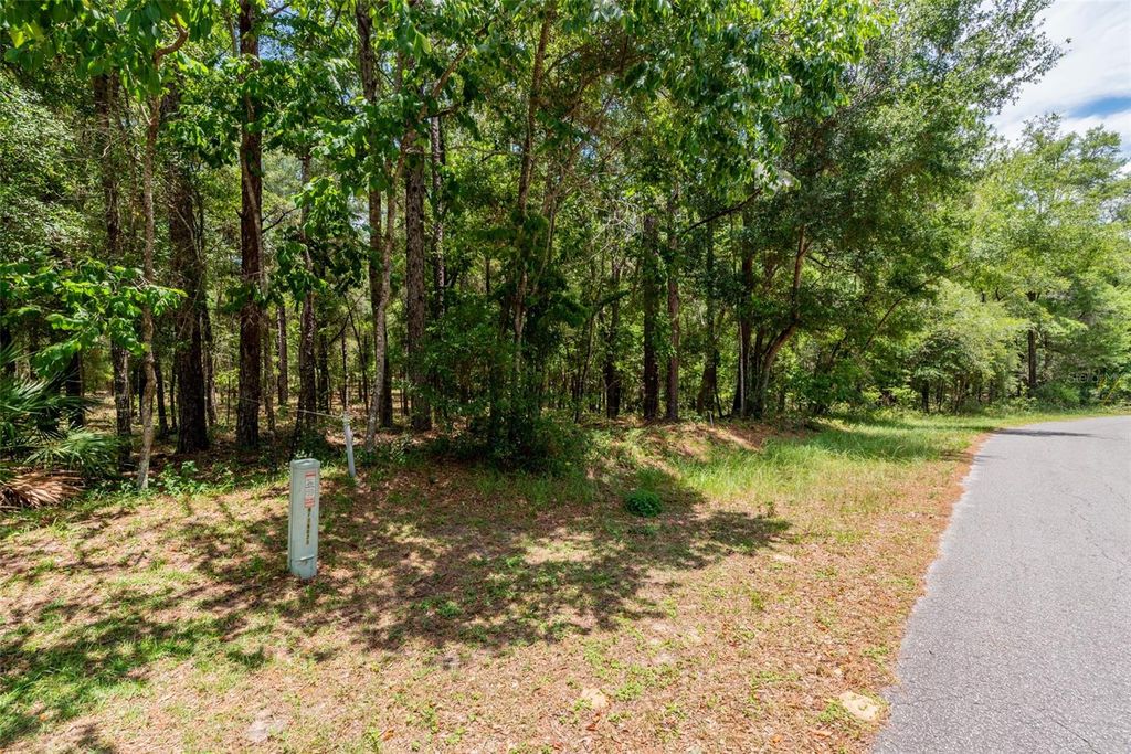 Photo of SW 73 Loop, Dunnellon, FL 34432 (MLS # G5108693)