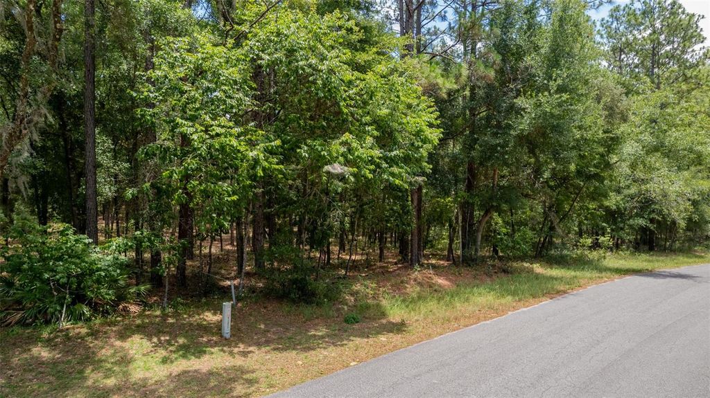 Photo of SW 73 Loop, Dunnellon, FL 34432 (MLS # G5108693)