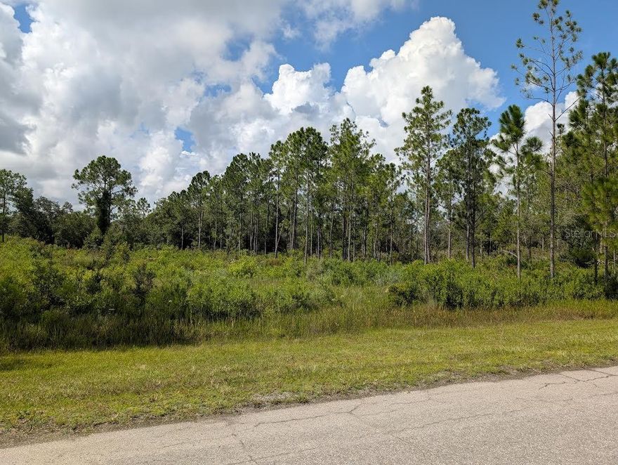 Come build your forever home on this beautiful 1.5 acre property in Indian Lake Estates. Indian Lake Estates is a golfing, fishing and boating community in the center of Florida located about 20 miles east of Lake Wales. The community surrounds the 7,500 acre lake locally known as Lake Walk In Water, nationally known for its fishing and considered to be one of the best bass fishing lakes in all Florida. The lake has a beach, boat ramp, boat marina and the longest freshwater Fishing pier in the State of Florida. The pavilion is located at the front of the pier and is complete with propane grills and covered picnic tables. The community amenities include an 18-hole golf course, basketball and tennis courts, 23, 000 sq.ft. clubhouse, cafe, post office, churches, library, fitness room and pro shop. If you love nature and the peace and quiet of the country you're in luck. Wildlife is plentiful! You will see deer, raccoon, turkey, turtles, cranes and various species of birds that call Indian Lake Estates their home. Orlando and Disney is only about an hour's drive north and Tampa, Busch Gardens, and the Gulf's pristine beaches only a little over an hour west. Historic Bok Tower, a National Landmark, is in nearby Lake Wales. The Westgate River Ranch Resort and Rodeo is just six miles away. An authentic Florida dude ranch and full-service resort offering guests the opportunity to experience "Old Florida." Encompassing 1,700 beautiful acres, Westgate River Ranch features horseback riding, wildlife airboat and swamp buggy rides, Saturday night championship rodeo, trap/skeet range, nature hikes, petting farm, marina, Adventure Park with zip line and rock climbing wall, Westgate Smokehouse Grill and River Ranch Saloon and much more. Cowboy-themed accommodations range from ranch-themed lodge guestrooms and deluxe lodge suites to spacious cottages, two-bedroom cabins, Glamping and Luxe Teepees. Come out and see how great life can be at Indian Lake Estates! Polk County's best kept secret!