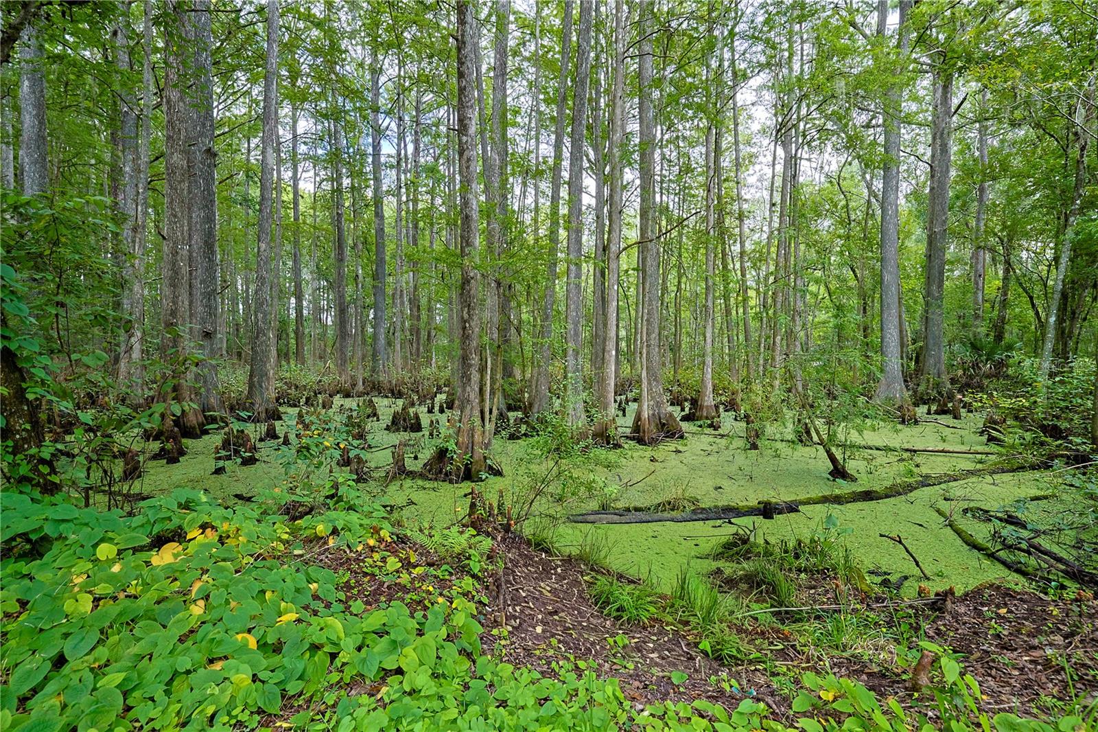 CONTINENTAL COUNTY CLUB - Residential