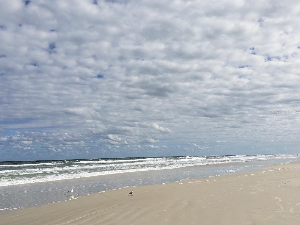 Florida Shores 01 - Residential