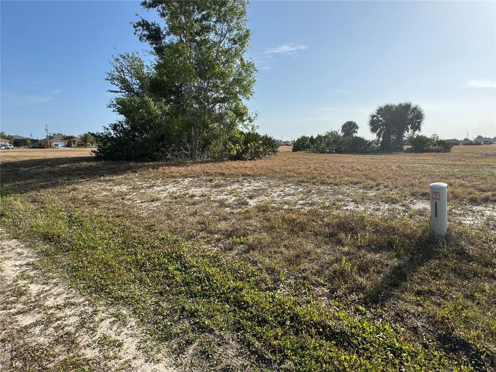 Photo of 25 NW 17th Place, Cape Coral, FL 33993 (MLS # TB8368073)