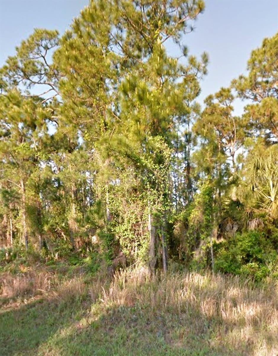 Photo of Old Wine Road, North Port, FL 34288 (MLS # A4705278)