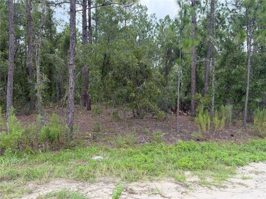 SW 131ST AVE, OCALA, FL 34481 - Image 32c0c4ff17fa51f67b71c9ee4a3ce349/766199541