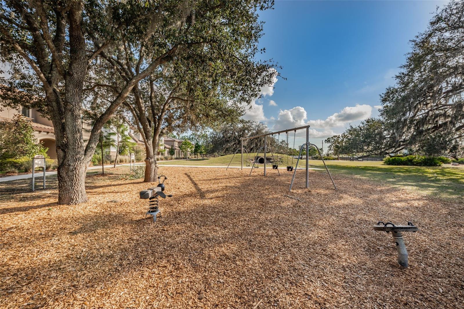 Photo 82 of 95 of 12610 RANGELAND BOULEVARD townhome