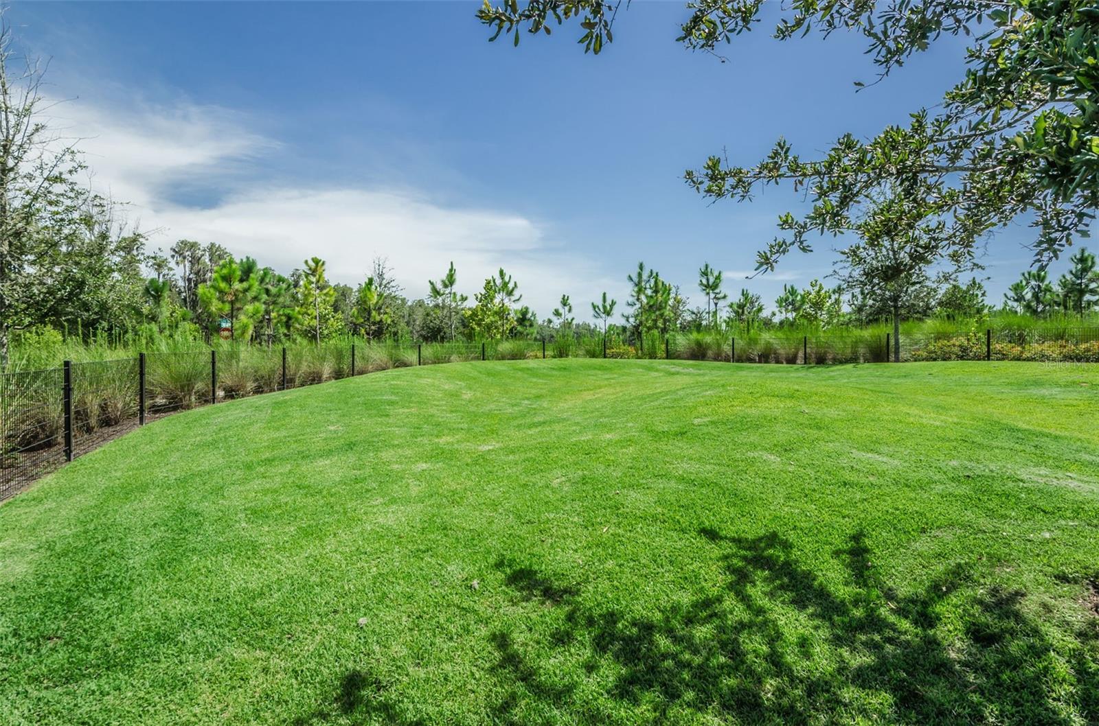 Photo 62 of 95 of 12610 RANGELAND BOULEVARD townhome