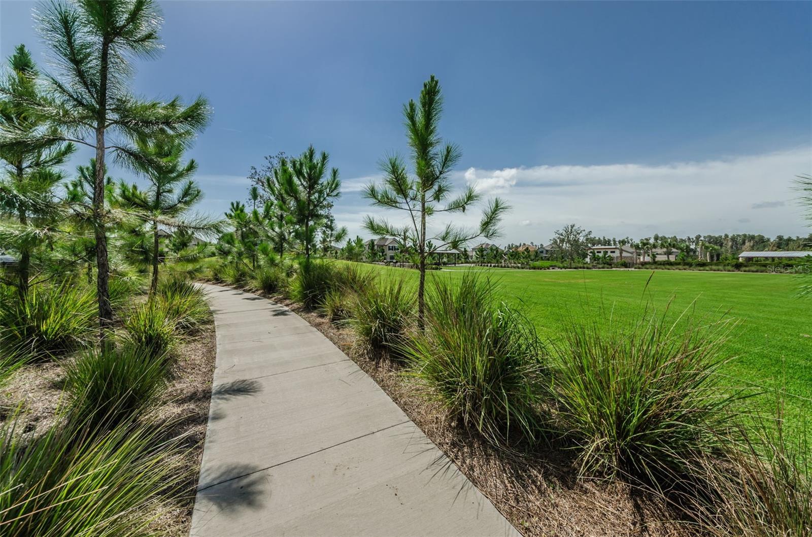 Photo 74 of 95 of 12610 RANGELAND BOULEVARD townhome