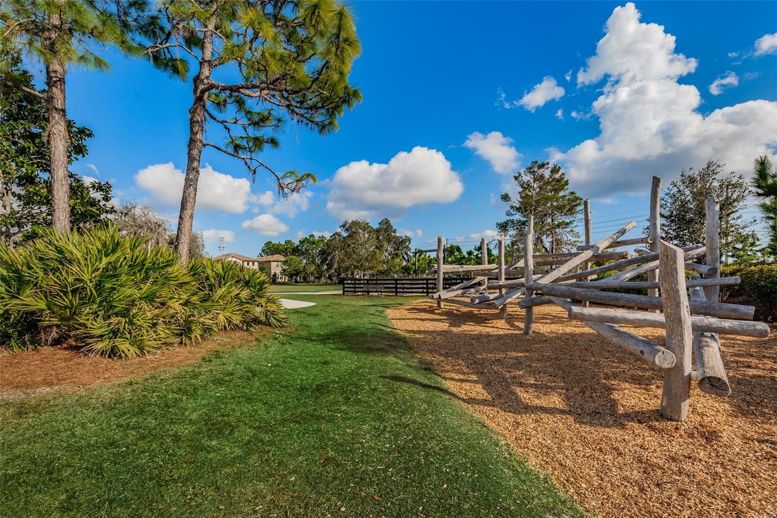 Photo 83 of 95 of 12610 RANGELAND BOULEVARD townhome