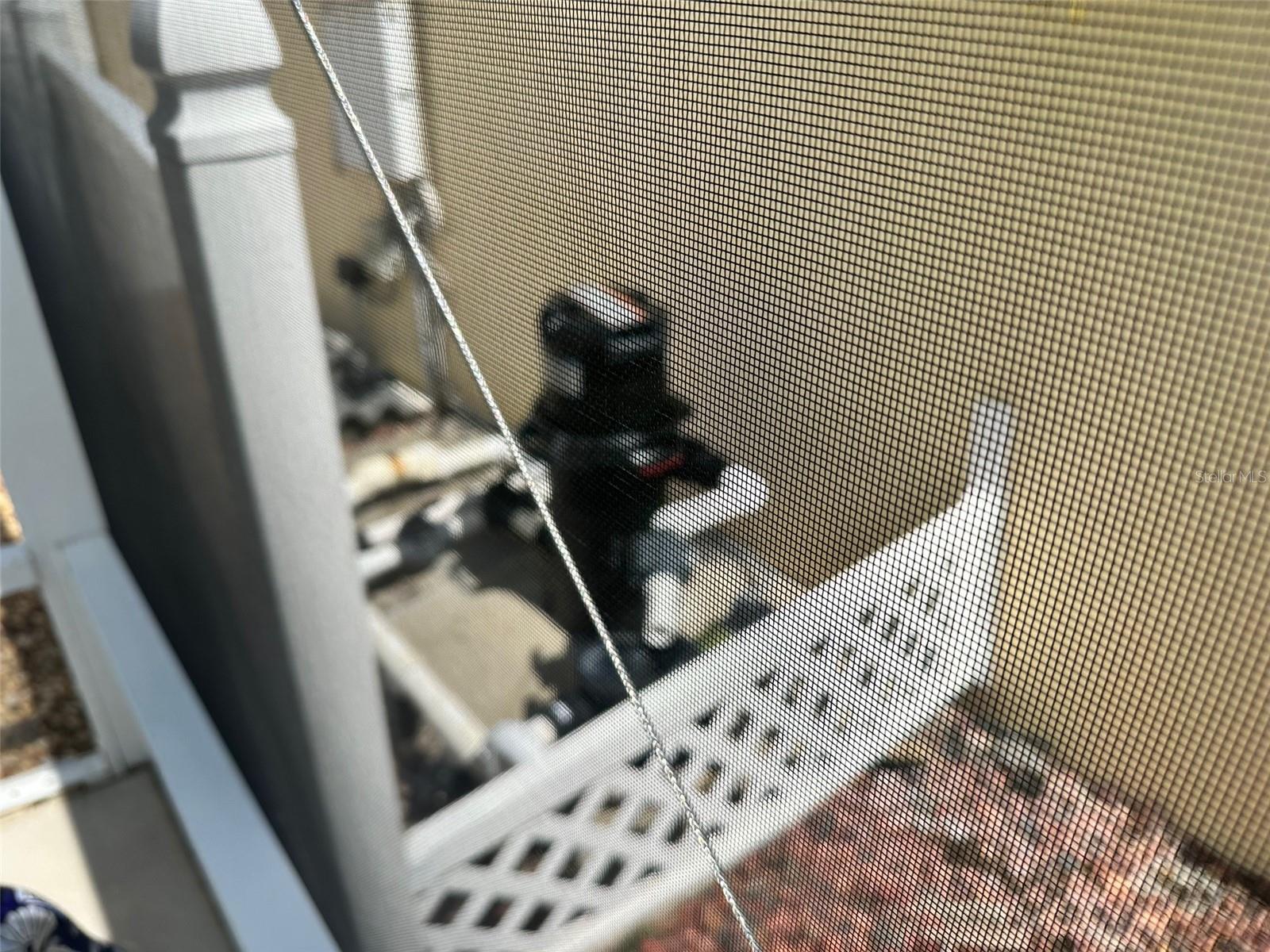 1137 SUMMERTON STREET