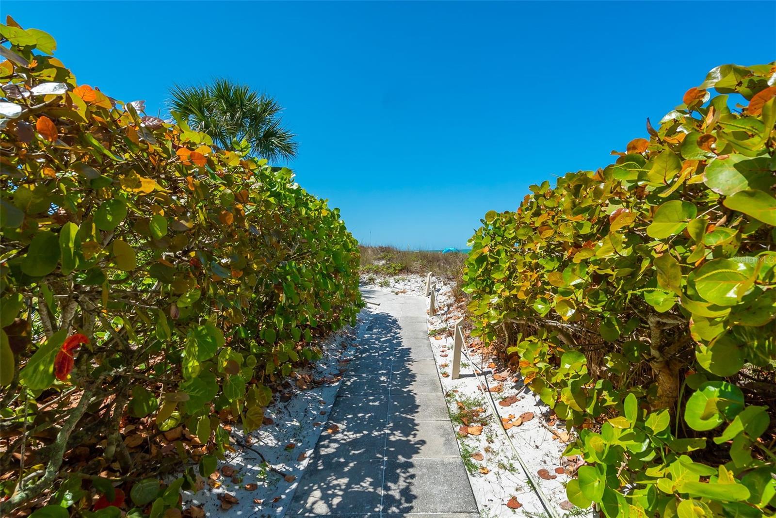 EXCELSIOR BEACH TO BAY 5 - Residential