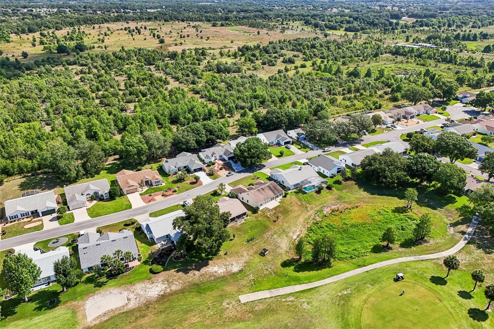 PLANTATION AT LEESBURG GLEN EAGLE VILLAGE TR A-E - Residential