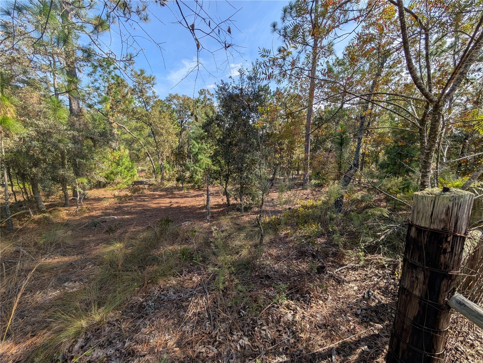 INTERLACHEN GARDENS - Land