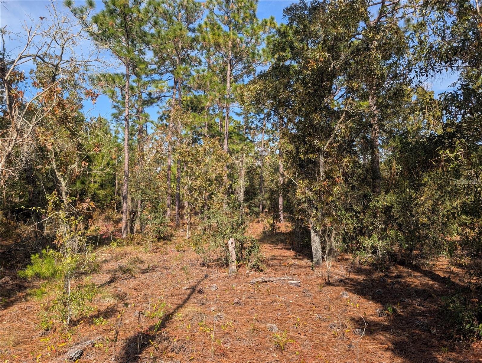 INTERLACHEN GARDENS - Land