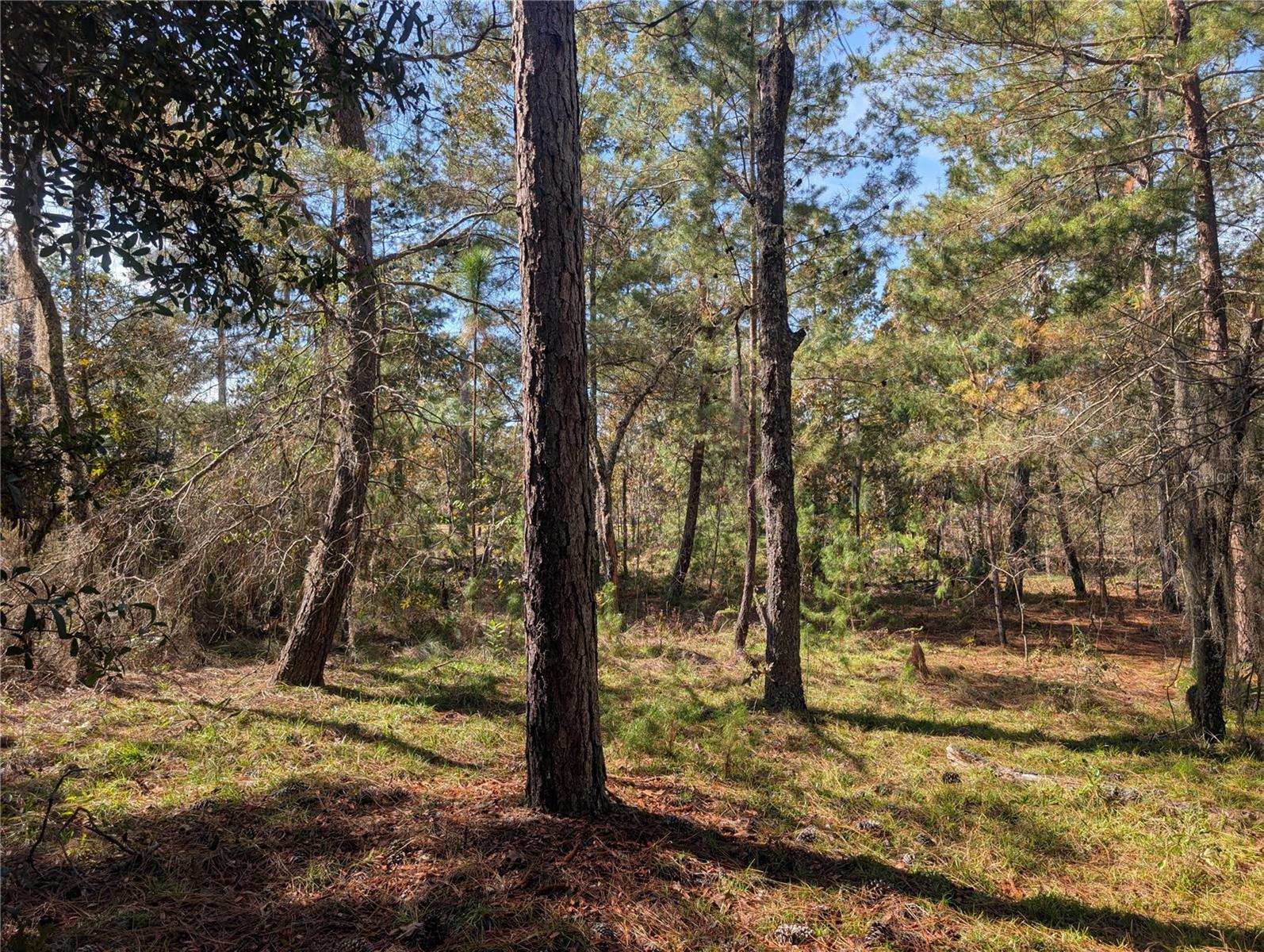 INTERLACHEN GARDENS - Land