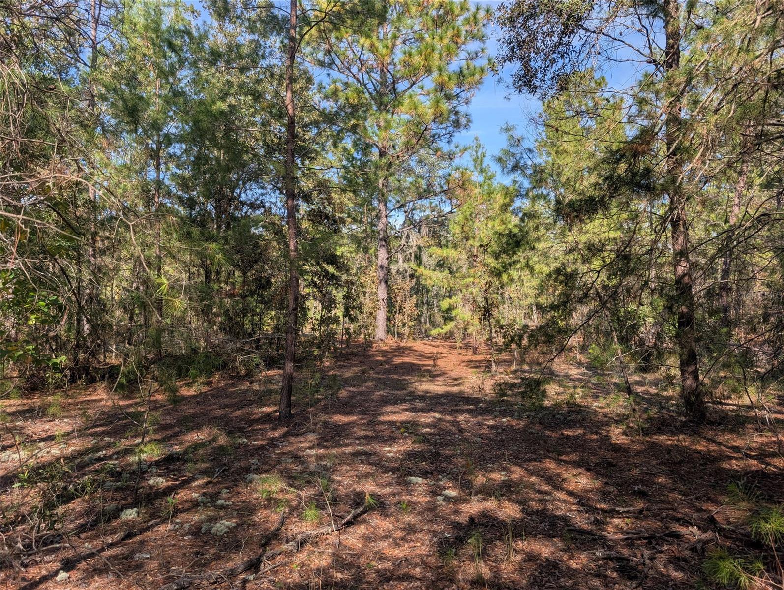 INTERLACHEN GARDENS - Land