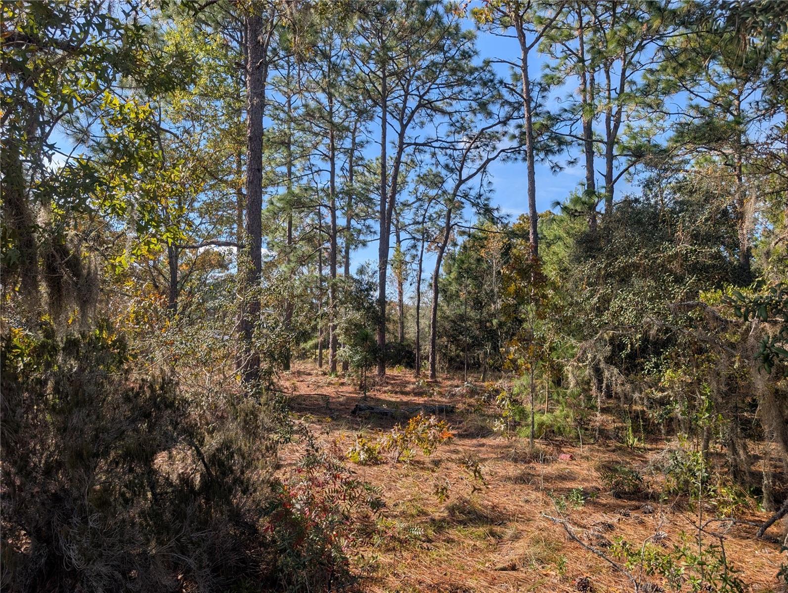 INTERLACHEN GARDENS - Land