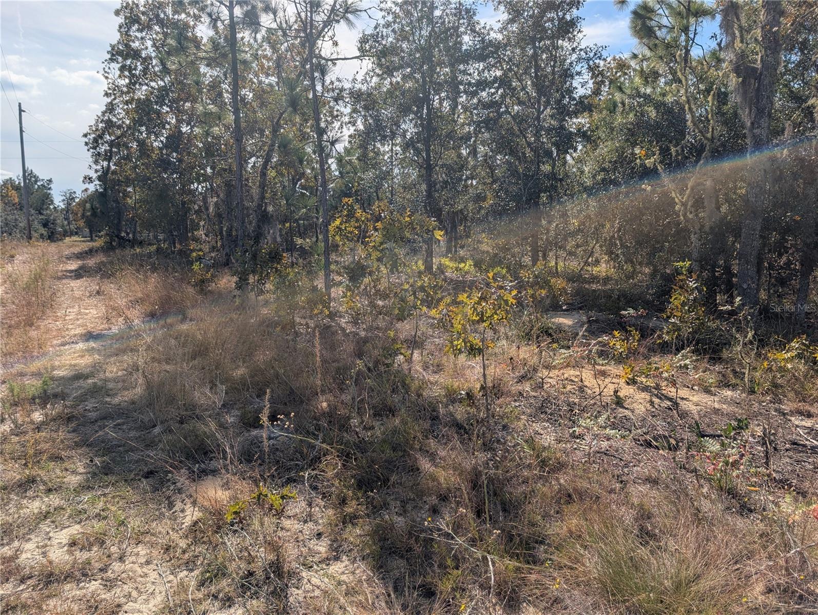 INTERLACHEN GARDENS - Land